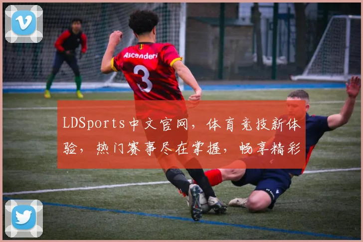 LDSports中文官网，体育竞技新体验，热门赛事尽在掌握，畅享精彩赛事，不容错过
