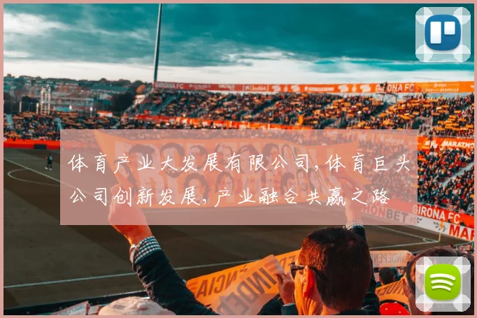 体育产业大发展有限公司,体育巨头公司创新发展,产业融合共赢之路